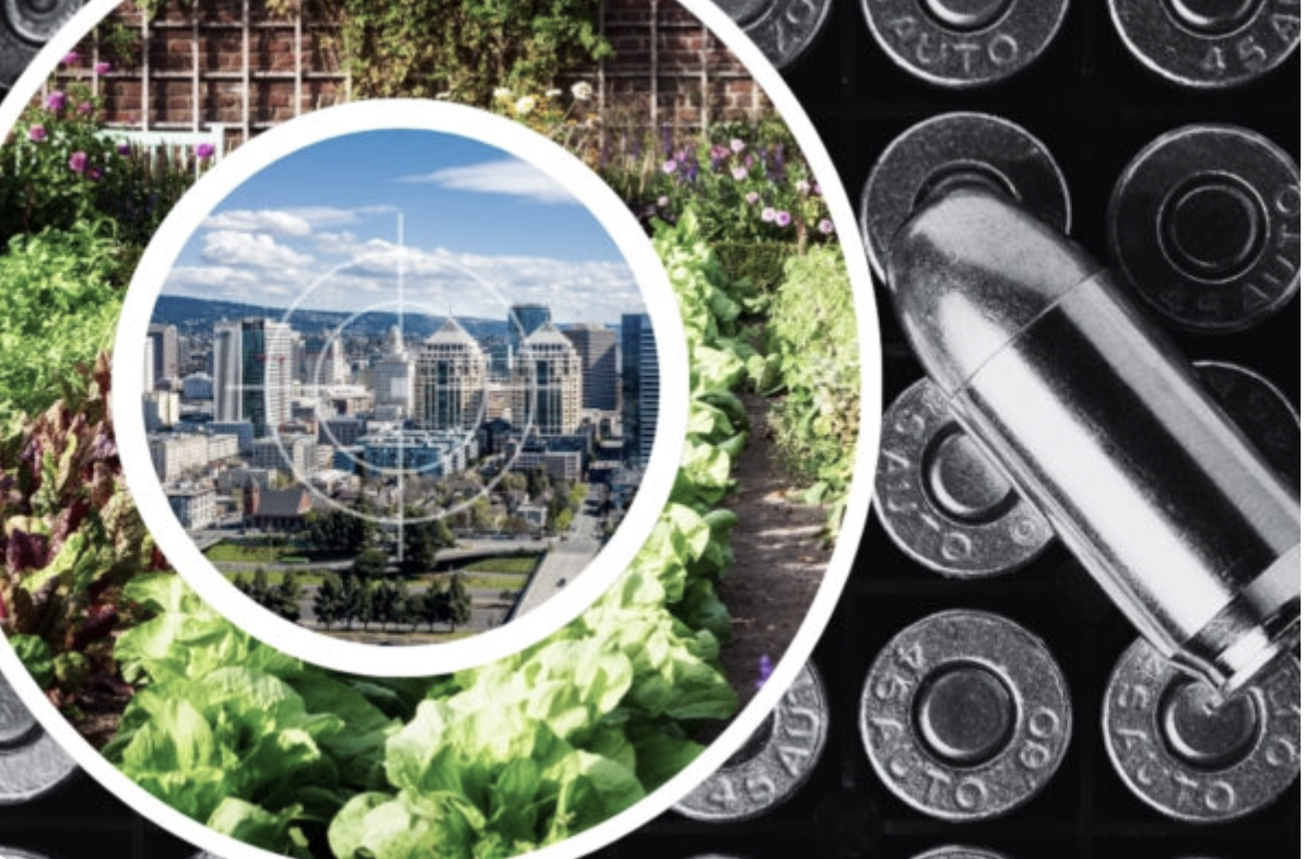 an illustration showing firearm bullets, a city, and a community garden, as if to indicate the ways that gun violence is connected to the built environment and public policy